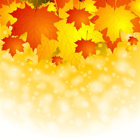 fall backgrounds clipart|free clip art fall leaves.